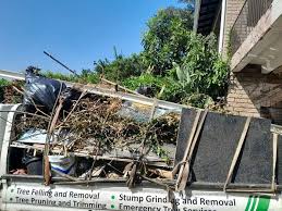 Best Property Management Cleanouts  in Thompson Falls, MT