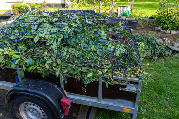 Reliable Thompson Falls, MT Junk Removal Services Solutions
